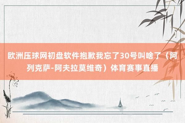 欧洲压球网初盘软件抱歉我忘了30号叫啥了（阿列克萨-阿夫拉莫维奇）体育赛事直播