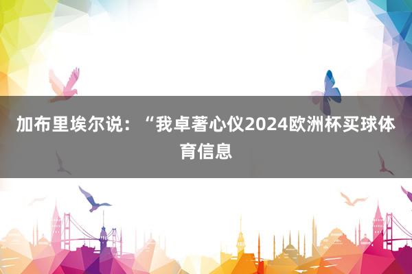 加布里埃尔说：“我卓著心仪2024欧洲杯买球体育信息