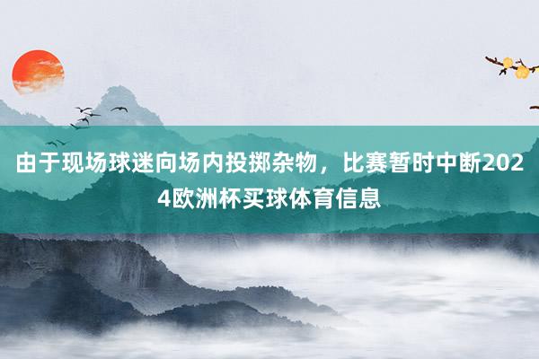 由于现场球迷向场内投掷杂物，比赛暂时中断2024欧洲杯买球体育信息