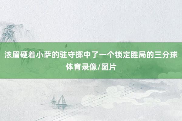 浓眉硬着小萨的驻守掷中了一个锁定胜局的三分球体育录像/图片